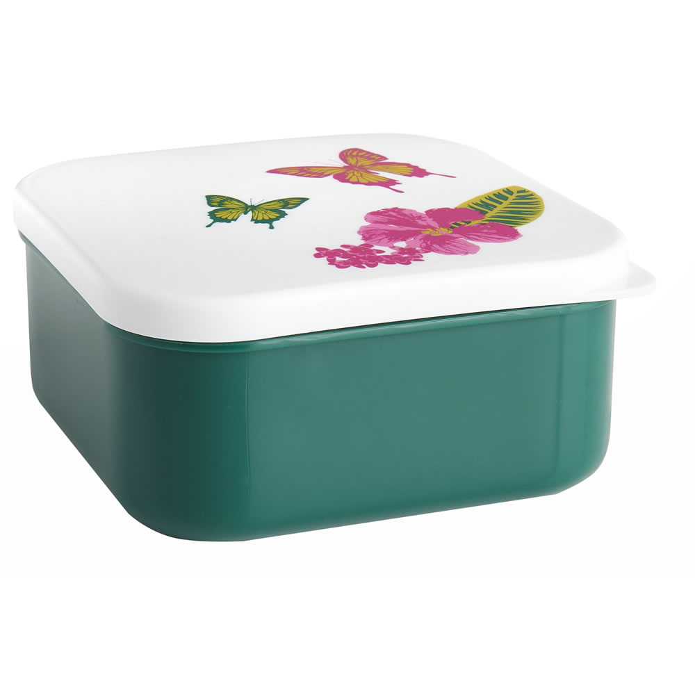 Wilko Picnic Tropical Containers Assorted Image 1