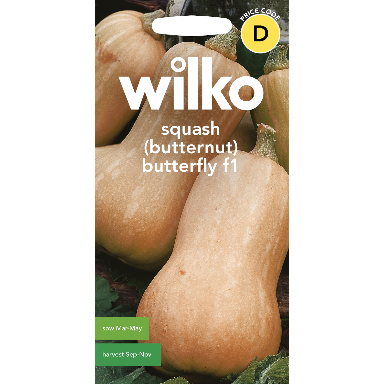 Squash Butternut Butterfly F1 Seeds Orange Image 1
