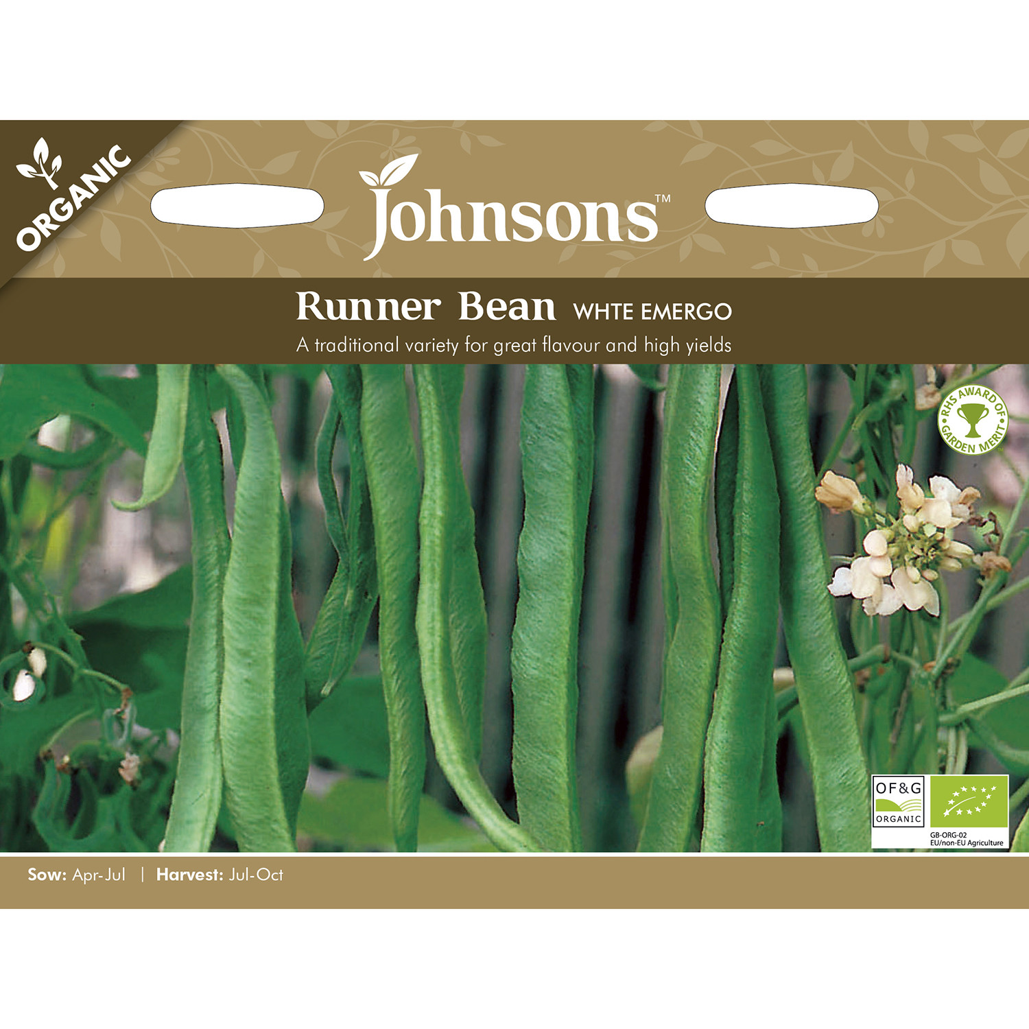 Johnsons Organic White Emergo Runner Bean Seeds Image 2