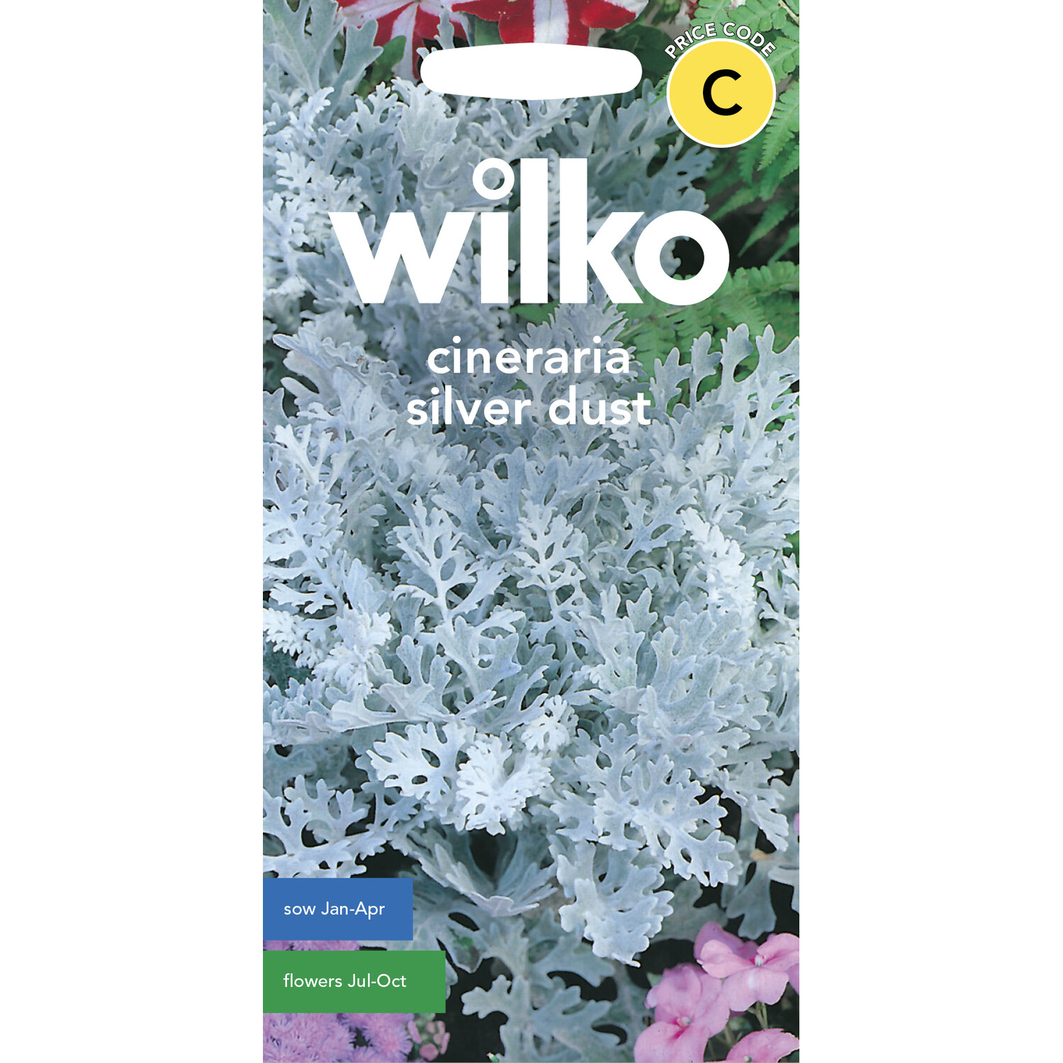 Wilko Cineraria Silver Dust Seeds Image 1