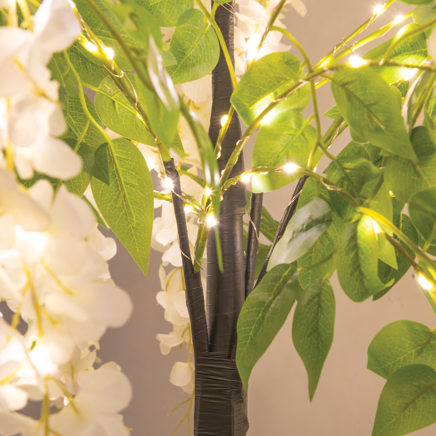 XL Wisteria Tree Image 2