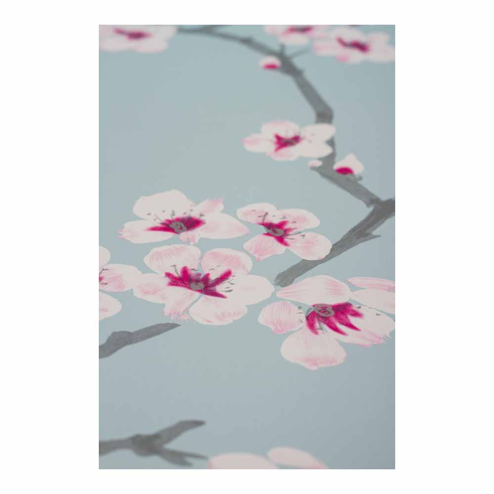 Fresco Apple Blossom Teal and Pink Wallpaper Image 3