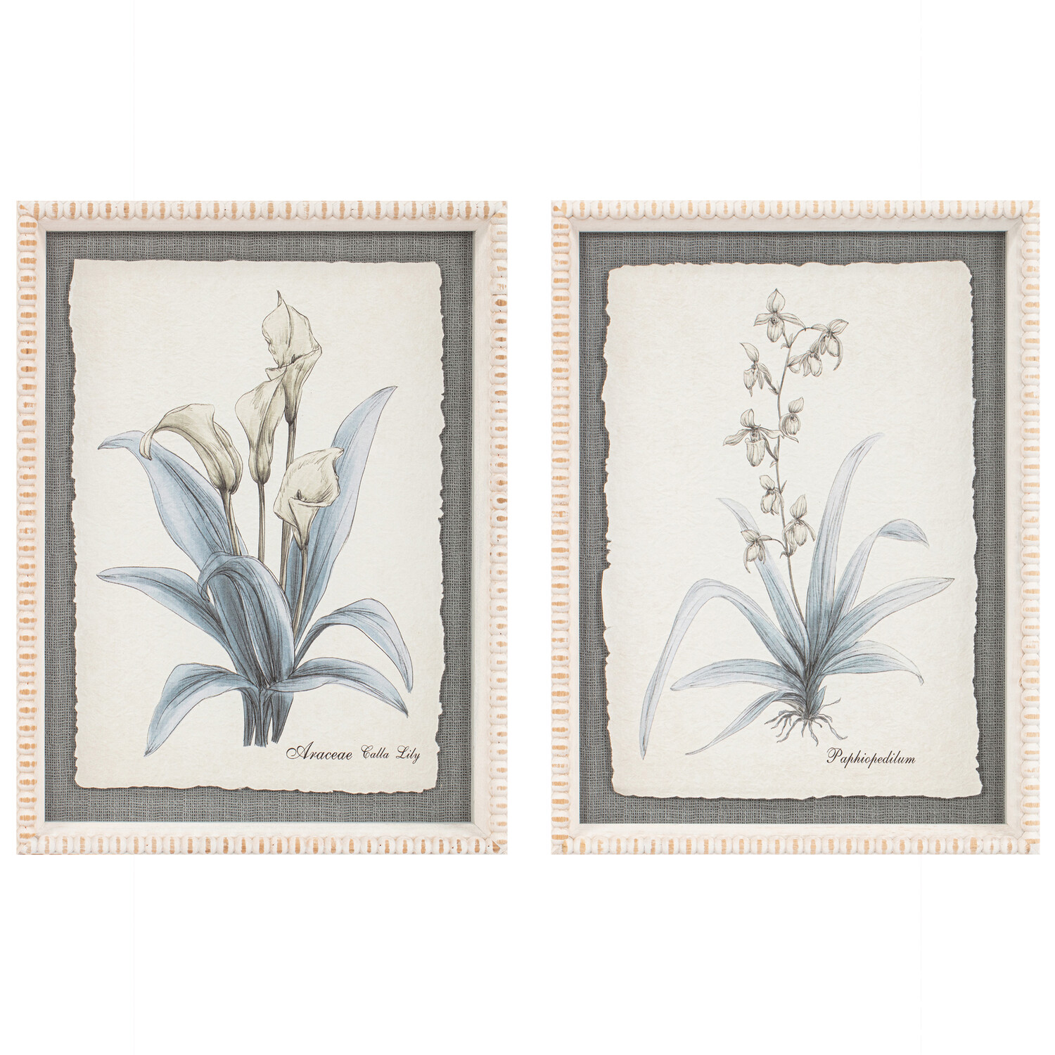 Flower Hand Sketch Effect Framed Art Image 1