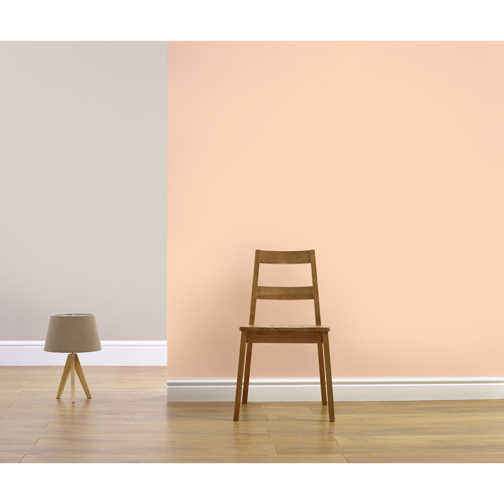Dulux Apricot Crush Silk Emulsion Paint 2.5L Wilko