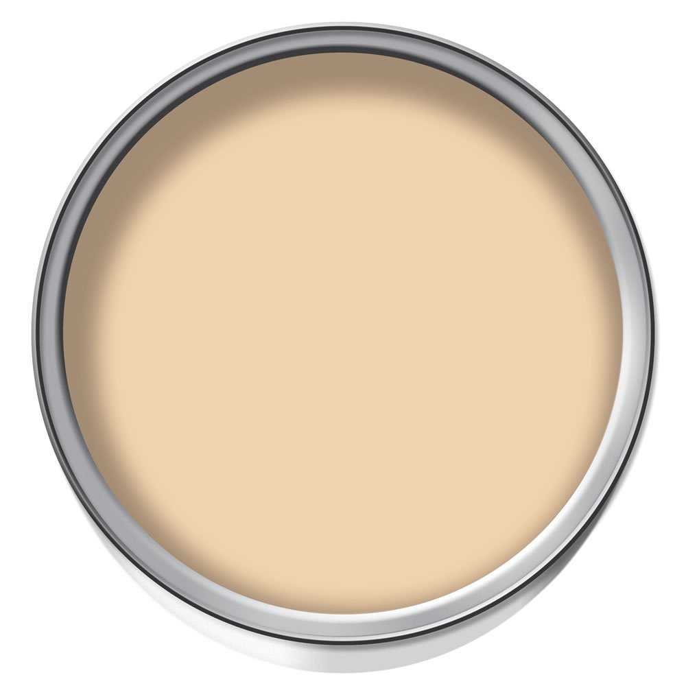 Wilko Country Cream Smooth Masonry Paint 2.5L Image 3