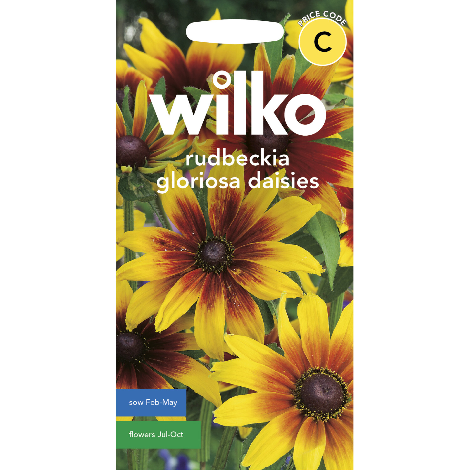 Wilko Rudbeckia Gloriosa Daisies Flower Seeds Image 1