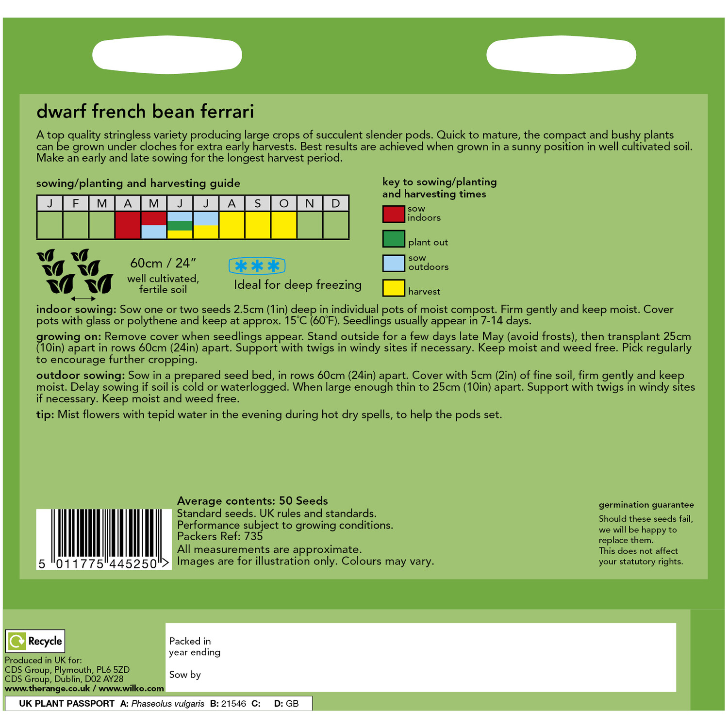 Wilko Dwarf French Bean Ferrari Seeds Image 2