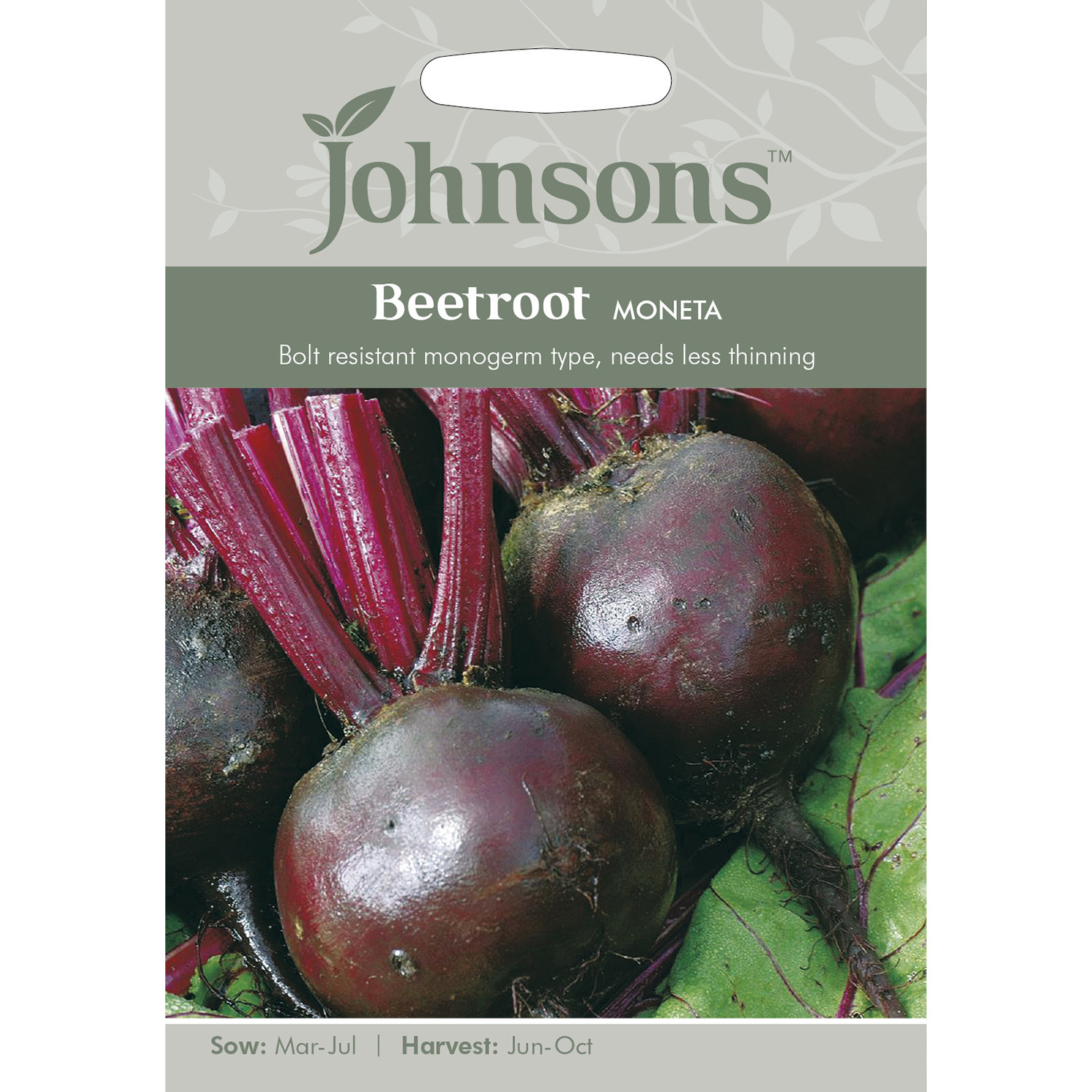Johnsons Moneta Beetroot Seeds Image 2