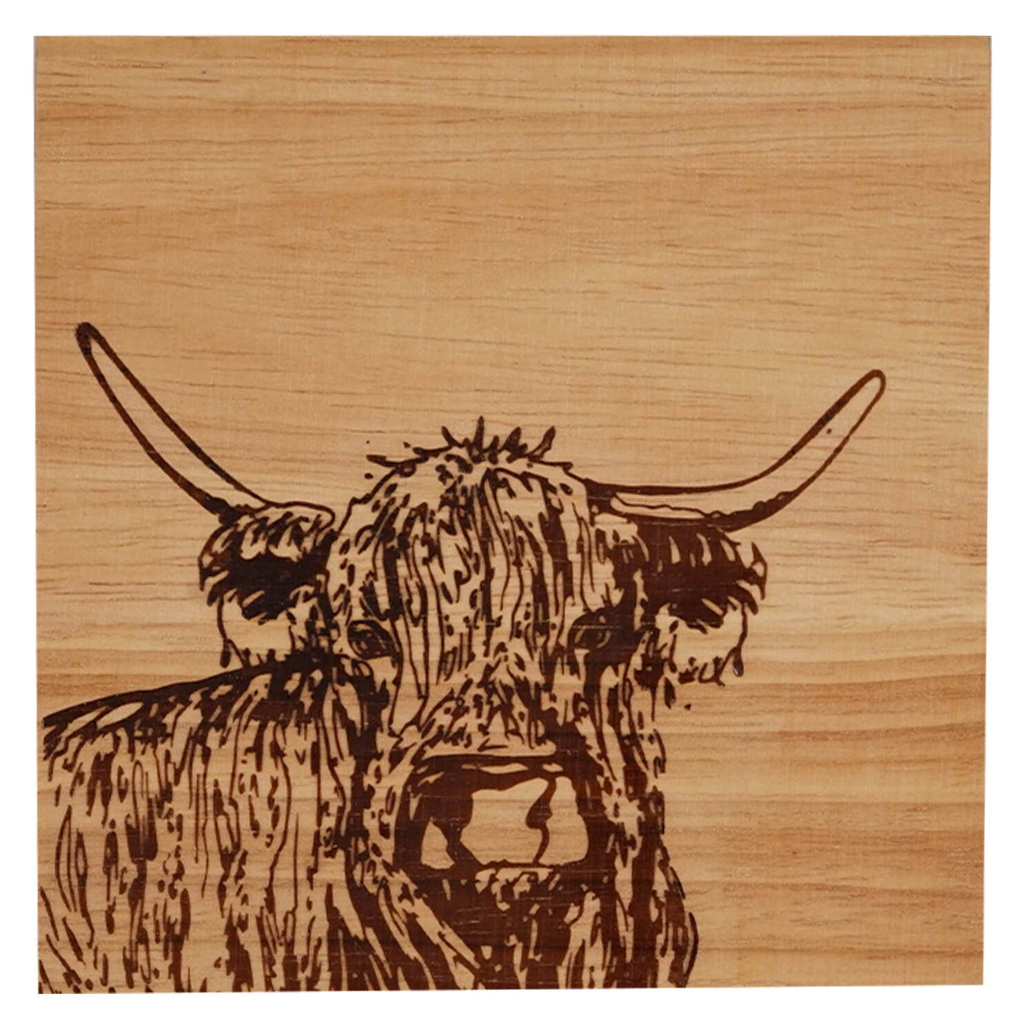 Pack of 4 Highland Cow Oak Coasters - Oak Image 1