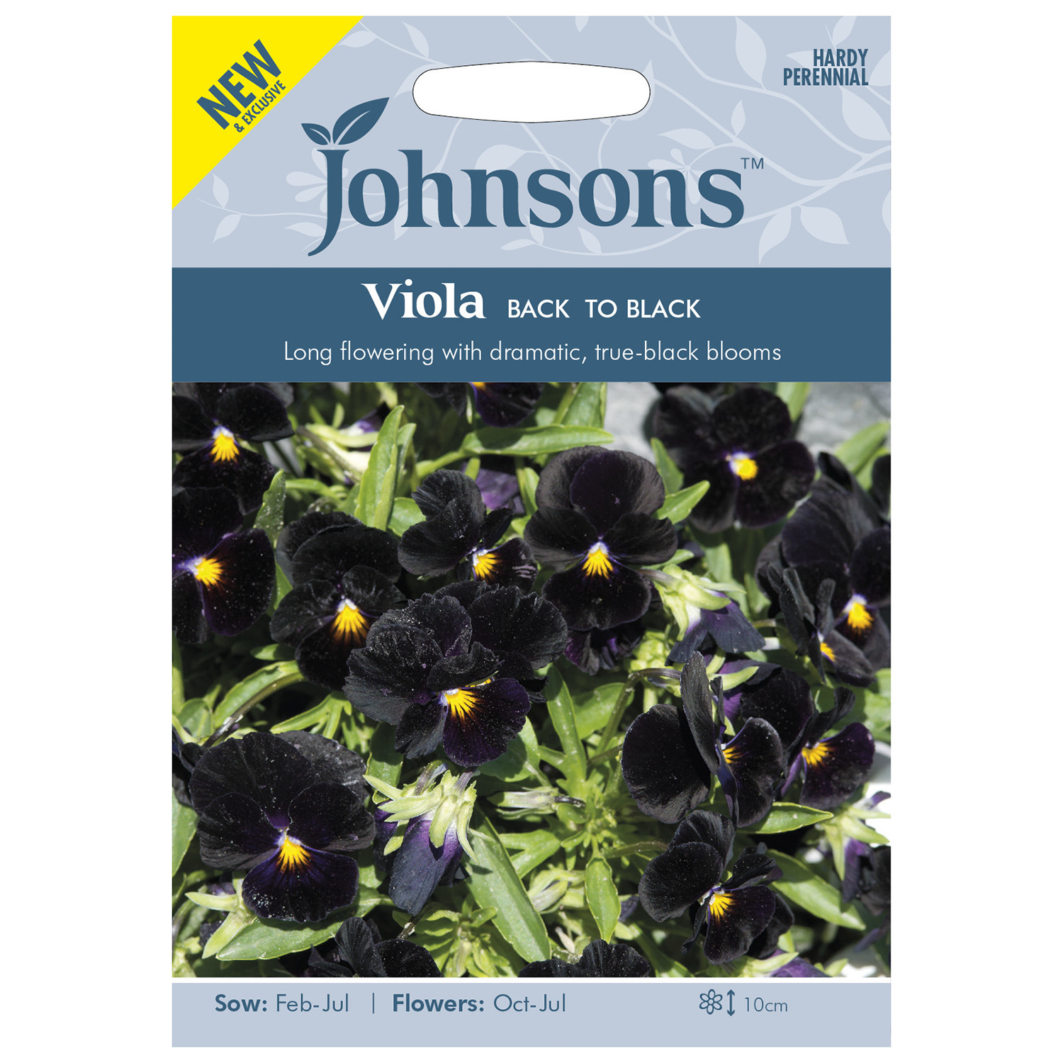 Pack of Back to Black Viola Flower Seeds Image