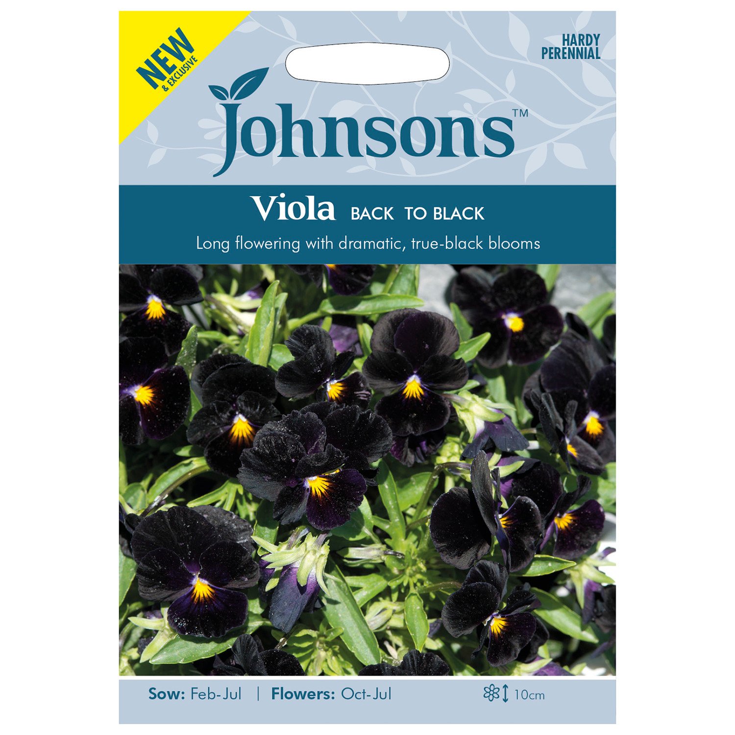 Johnsons Pack of Back to Black Viola Flower Seeds Image