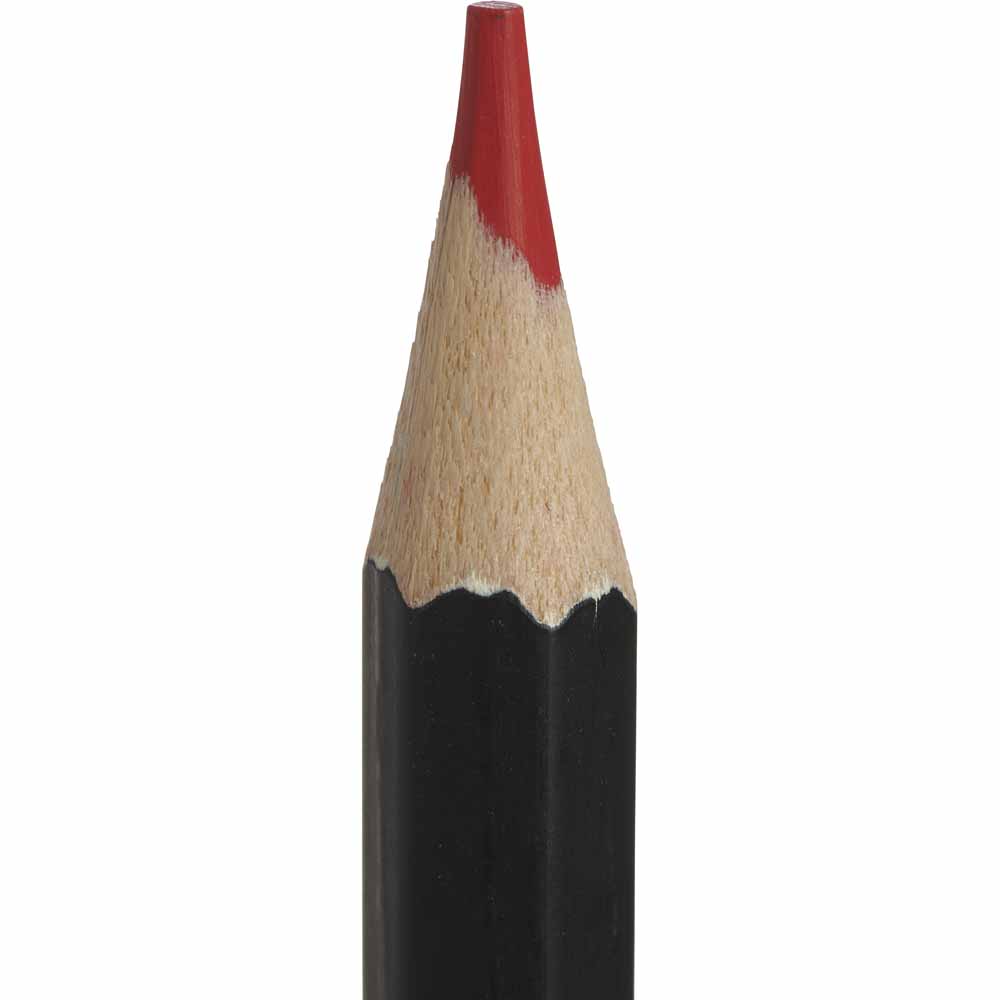 Wilko Watercolour Pencils 12 pack Image 3