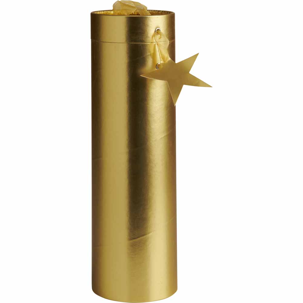 Wilko Twin Pack Bottle Tube Wilko