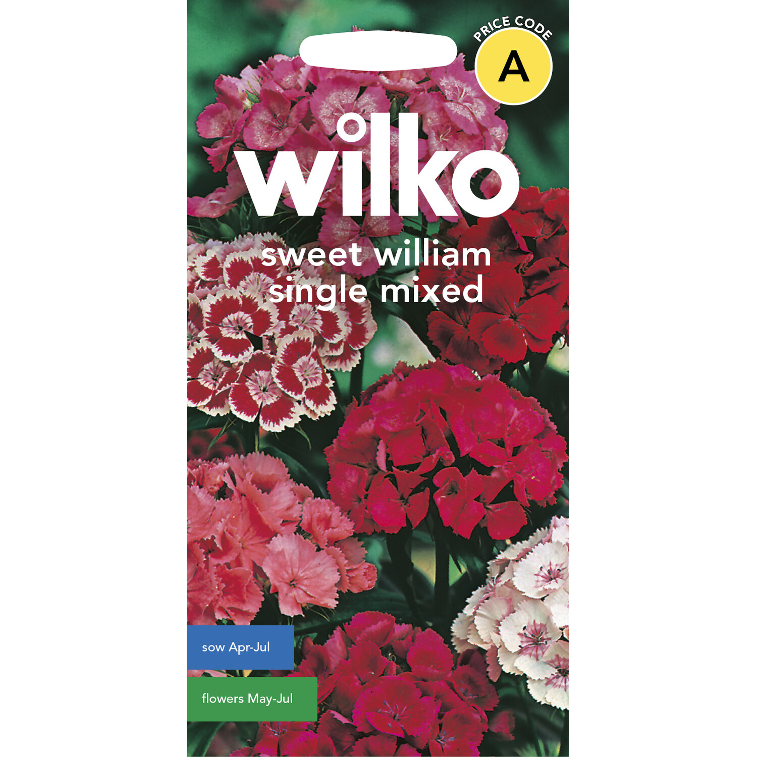 Wilko Mixed Single Sweet William Seeds Image 1
