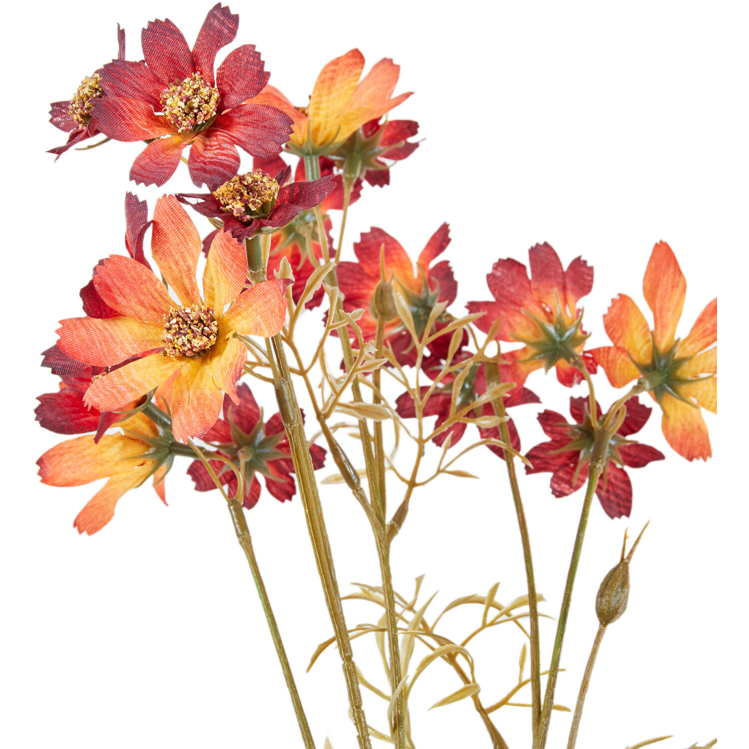 Sky Cosmos Flower Spray Image 3