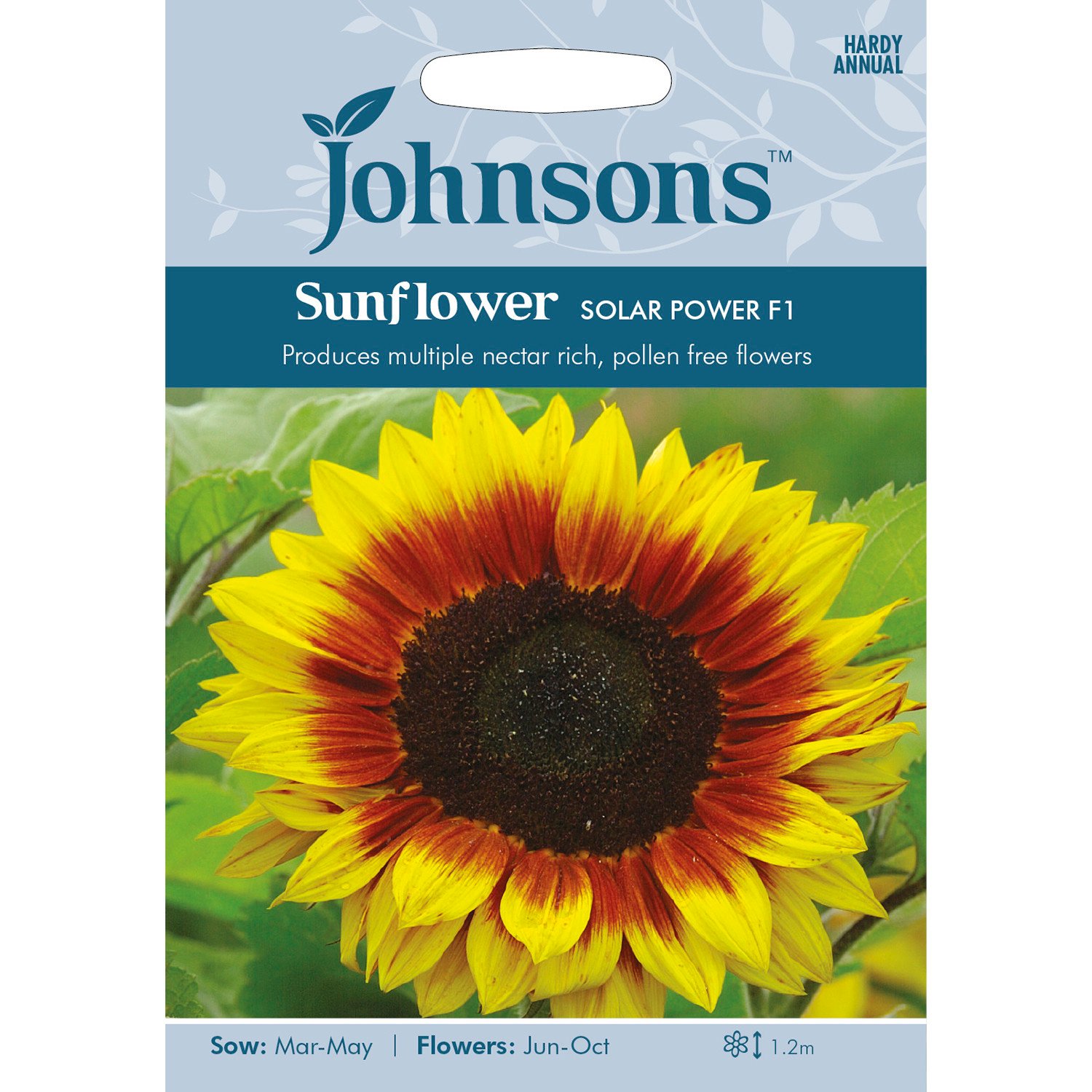 Johnsons Pack of Solar Power F1 Sunflower Seeds Image 1