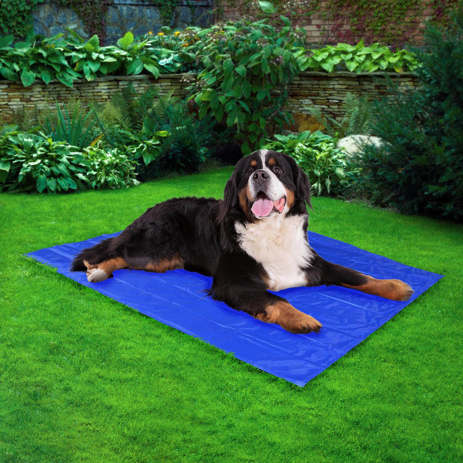 Clever Paws Pet Cooling Mat - Extra Large Image 2