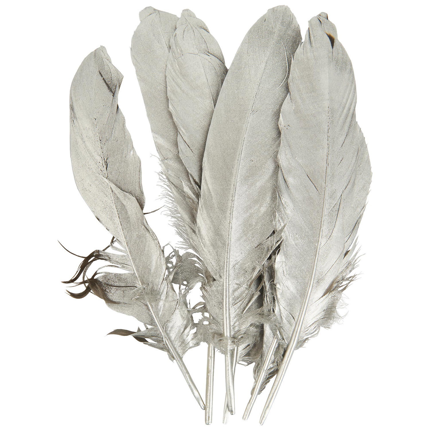 Pack of 6 True Moments Gold or Silver Feathers Image 5