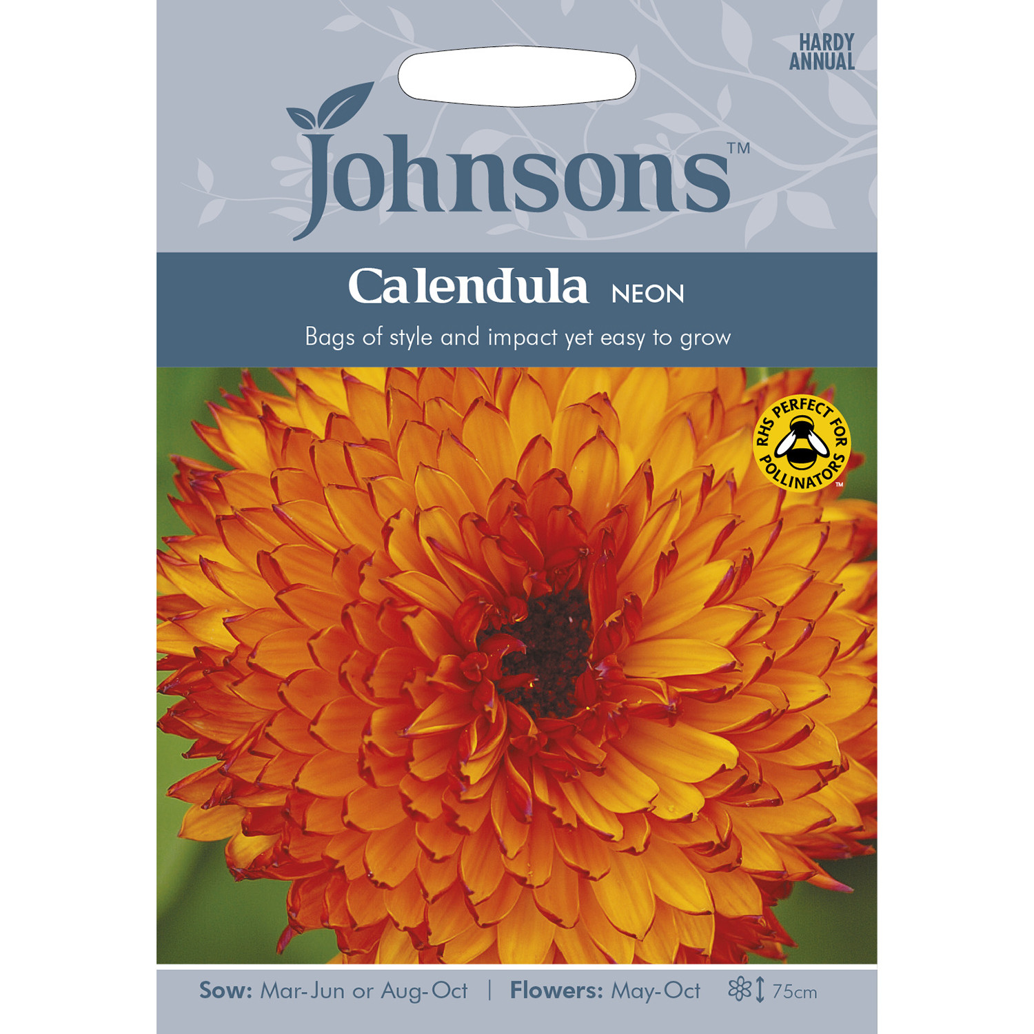 Johnsons Calendula Neon Flower Seeds Image 2