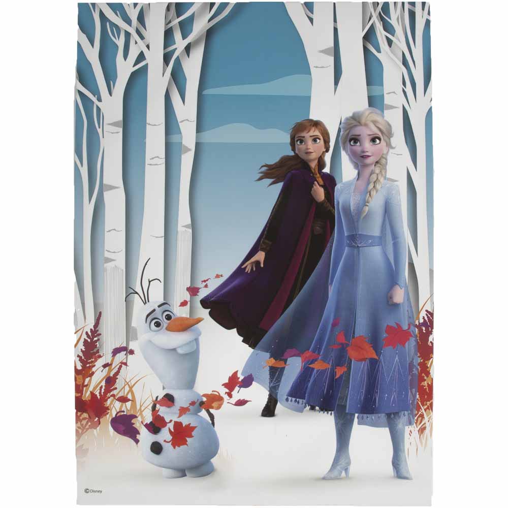 Disney Frozen Scene Canvas Print Cotton canvas wrapped around MDF frame  - wilko