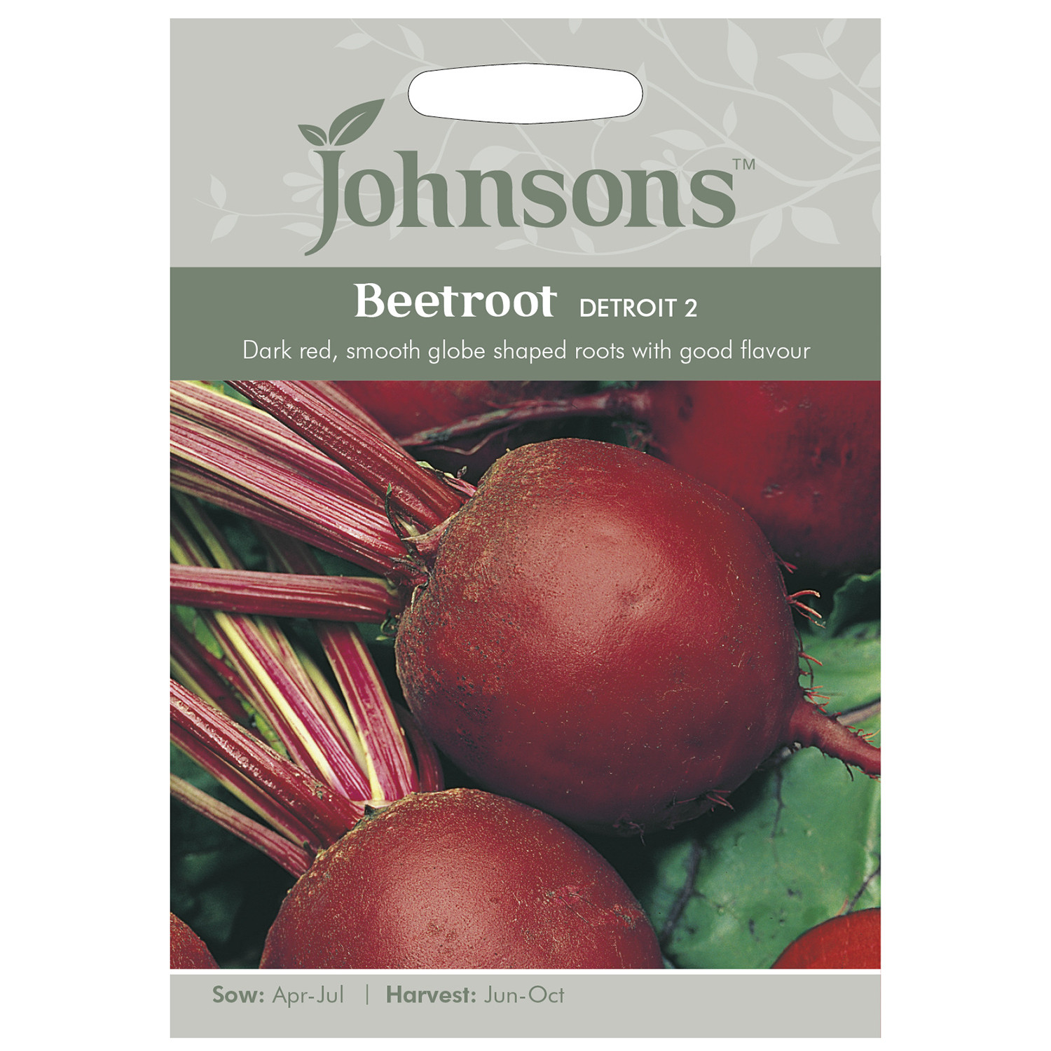 Johnsons Detroit 2 Beetroot Seeds Image 2