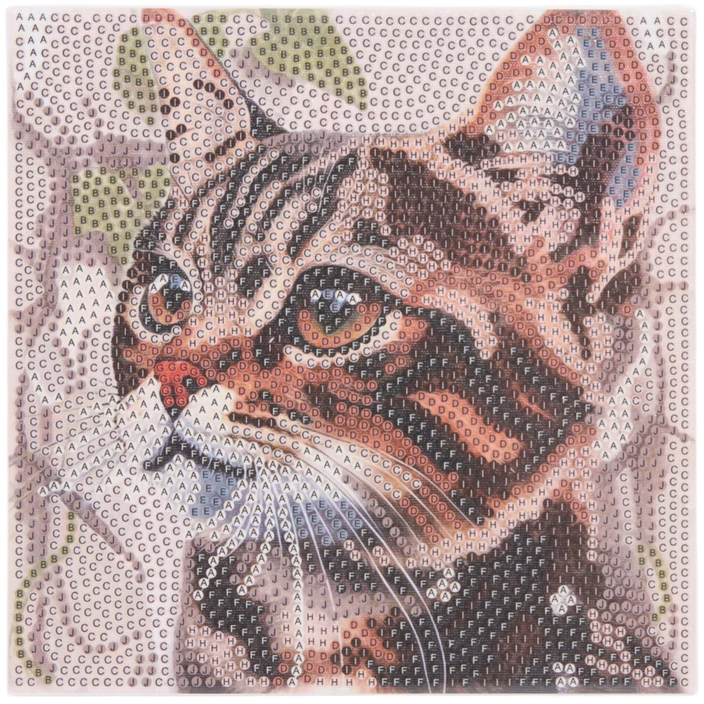 Kitten or Puppy Crystal Canvas Twinpack Image 9