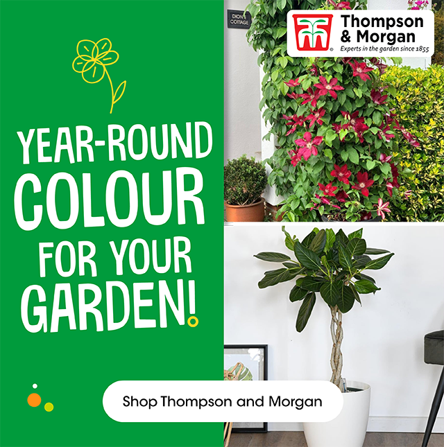 Thompson and Morgan