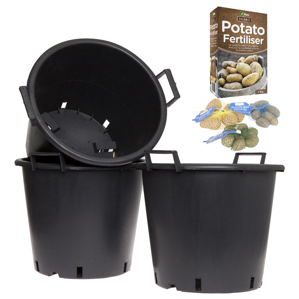 wilko Patio Seed Potato Tubers Selection with Growing Pots and Fertiliser 18 Pack Image 2