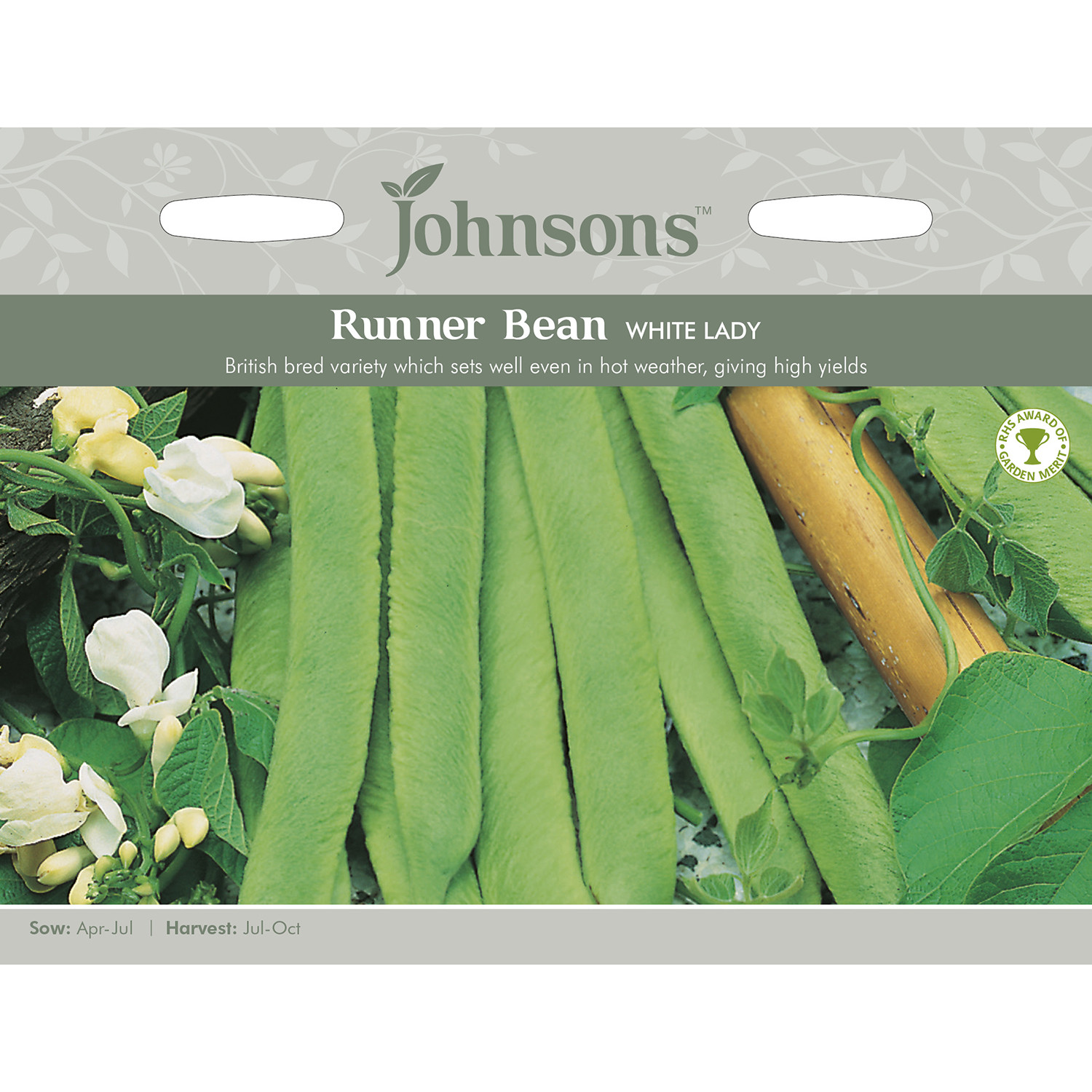 Johnsons White Lady Runner Bean Seeds Image 2