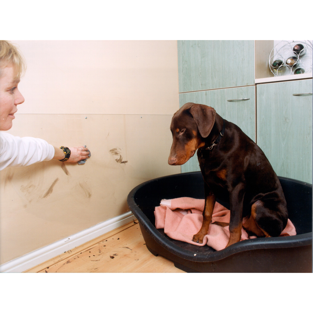 Vistalux 6 inch PVC ASB Superweight Roof Sheet 3660 x 1.3mm Image 2