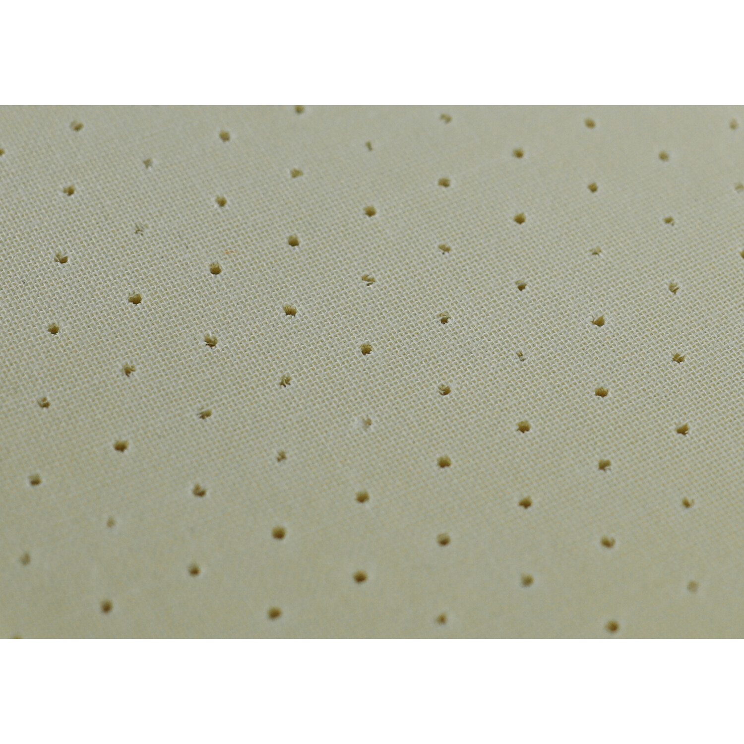 Cherry Blossom Foam Comfort Insole Image 3