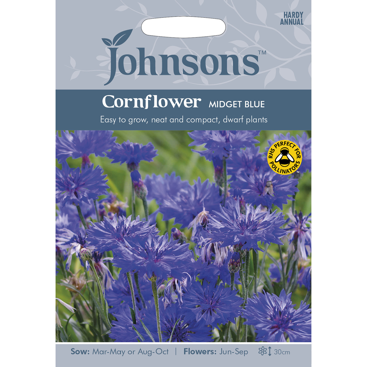 Johnsons Cornflower Midget Blue Flower Seeds Image 2