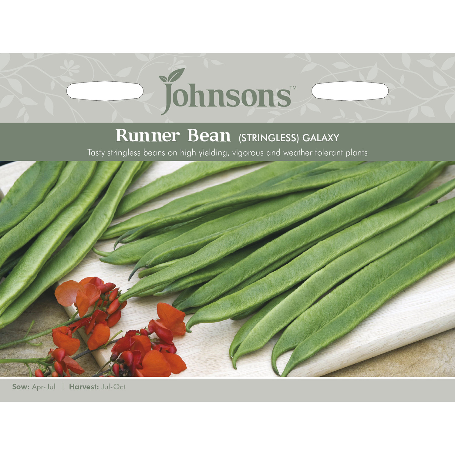 Johnsons Galaxy Stringless Runner Bean Seeds Image 2