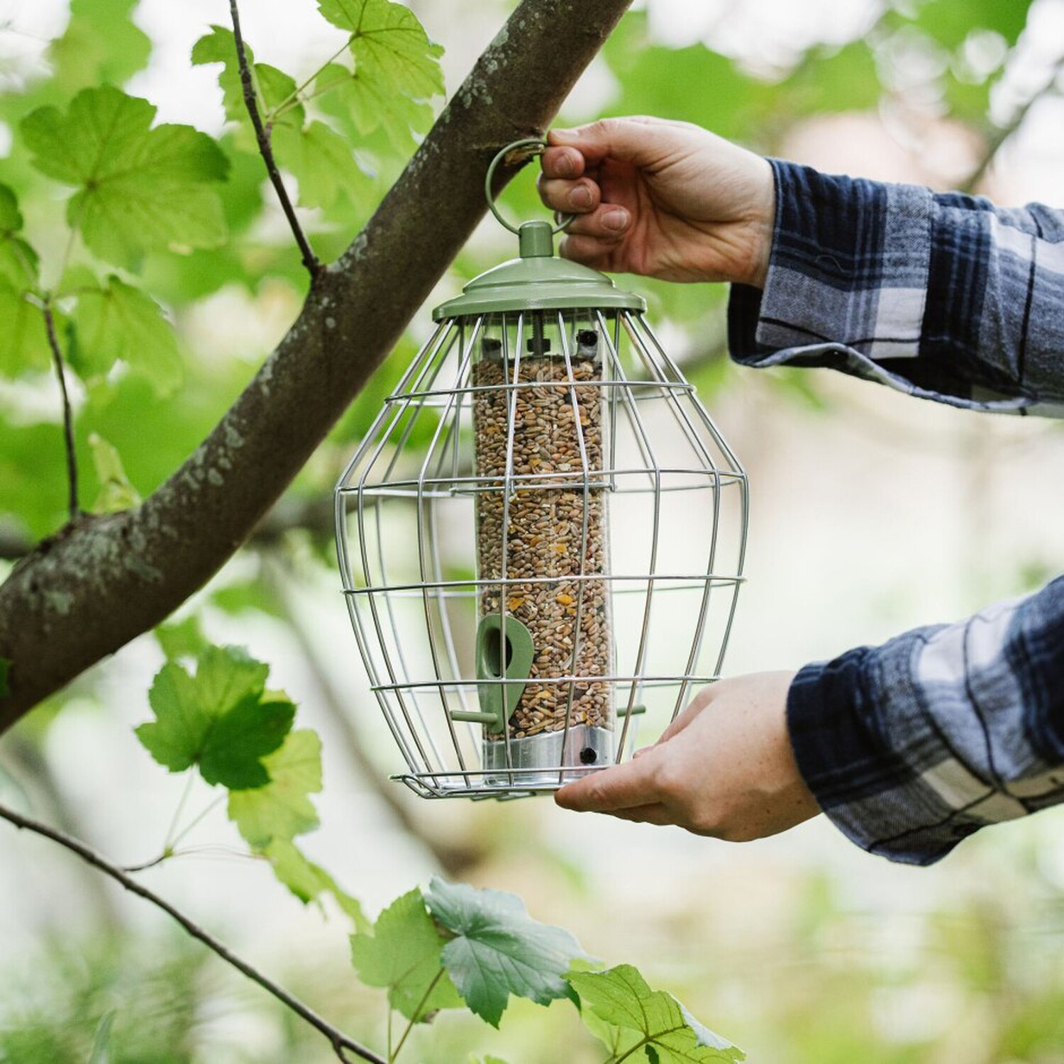 PK Canto Squirrel Proof Seed Feeder Image 3