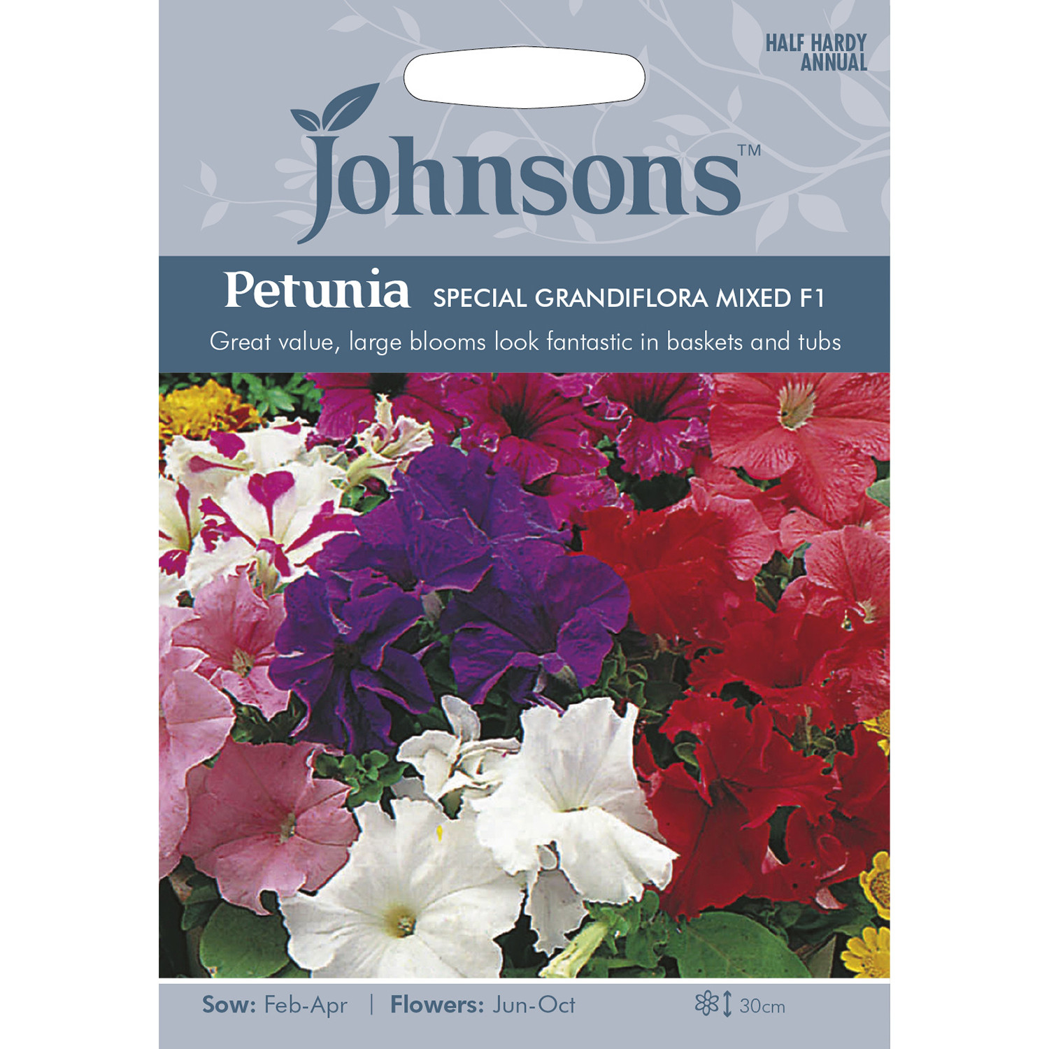 Johnsons Petunia Special Grandiflora Mixed F1 Flower Seeds Image 2