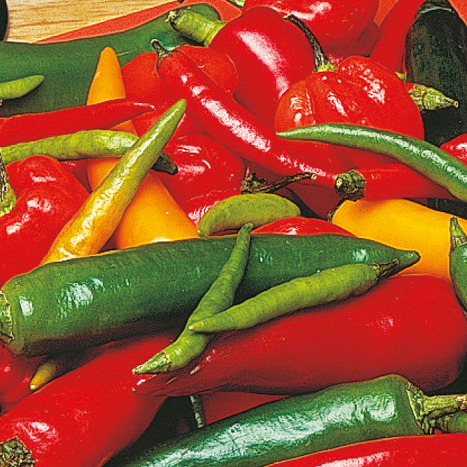 Johnsons Caribbean Blend Hot Pepper Seeds Image 1