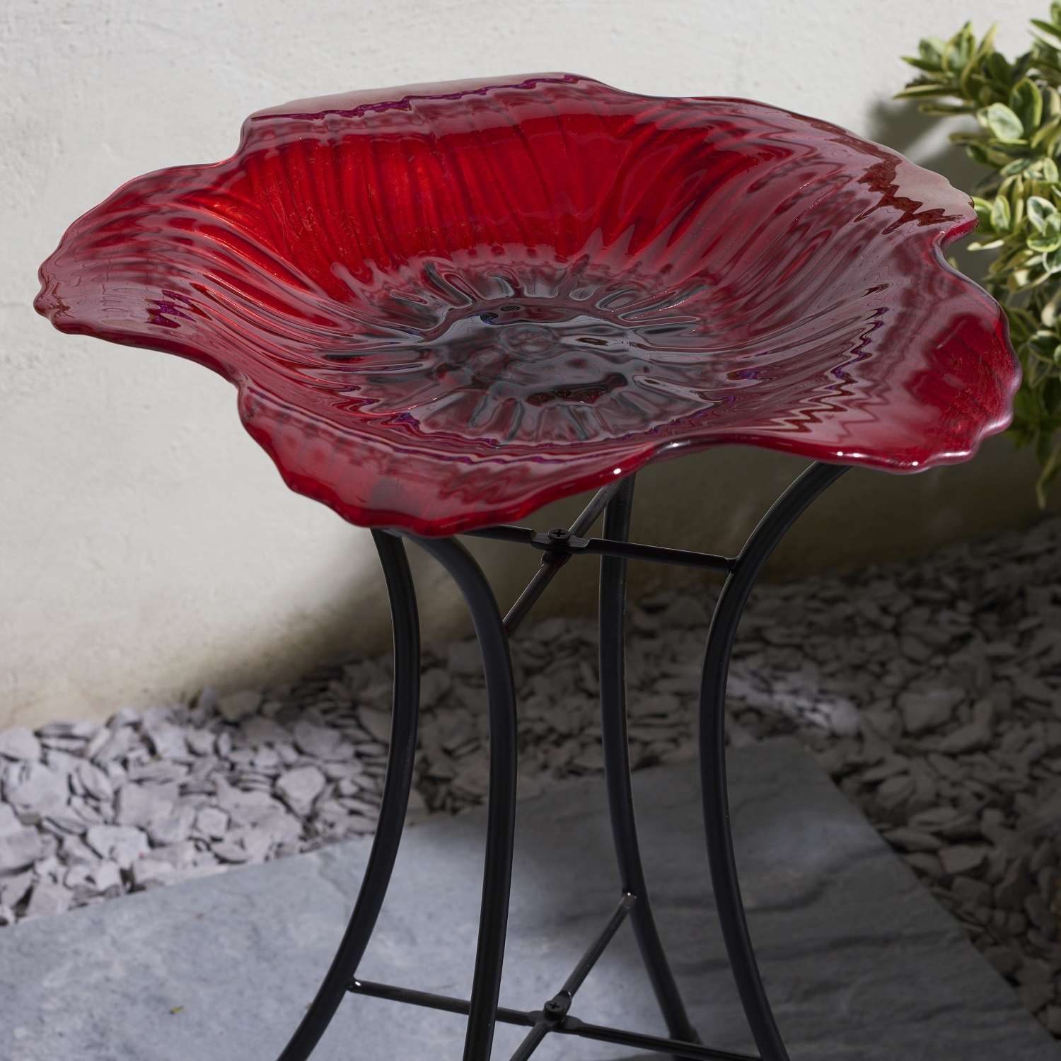 My Garden Poppy Bird Bath Image 4