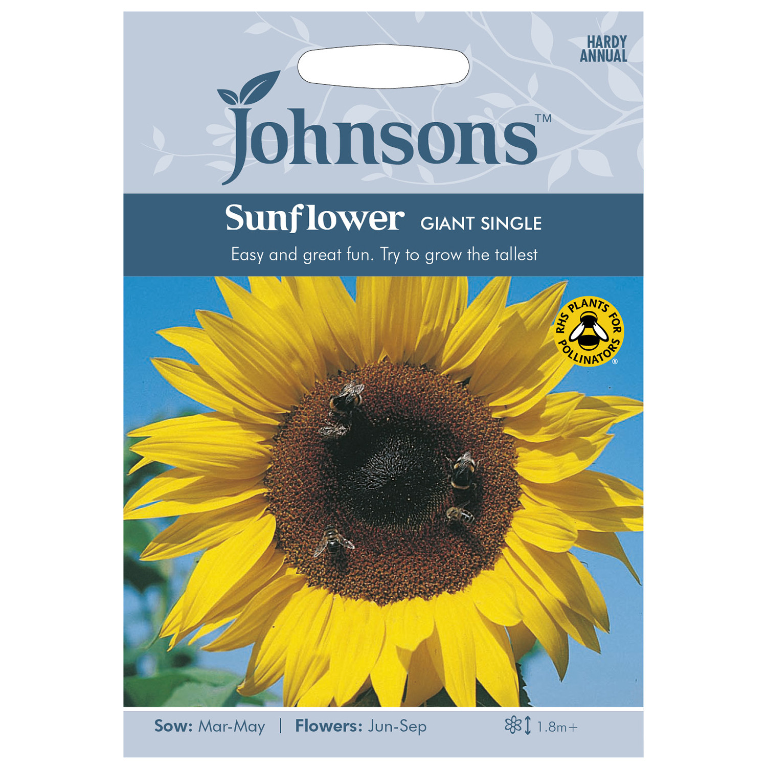Johnsons Sunflower Giant Single Seeds Image 1