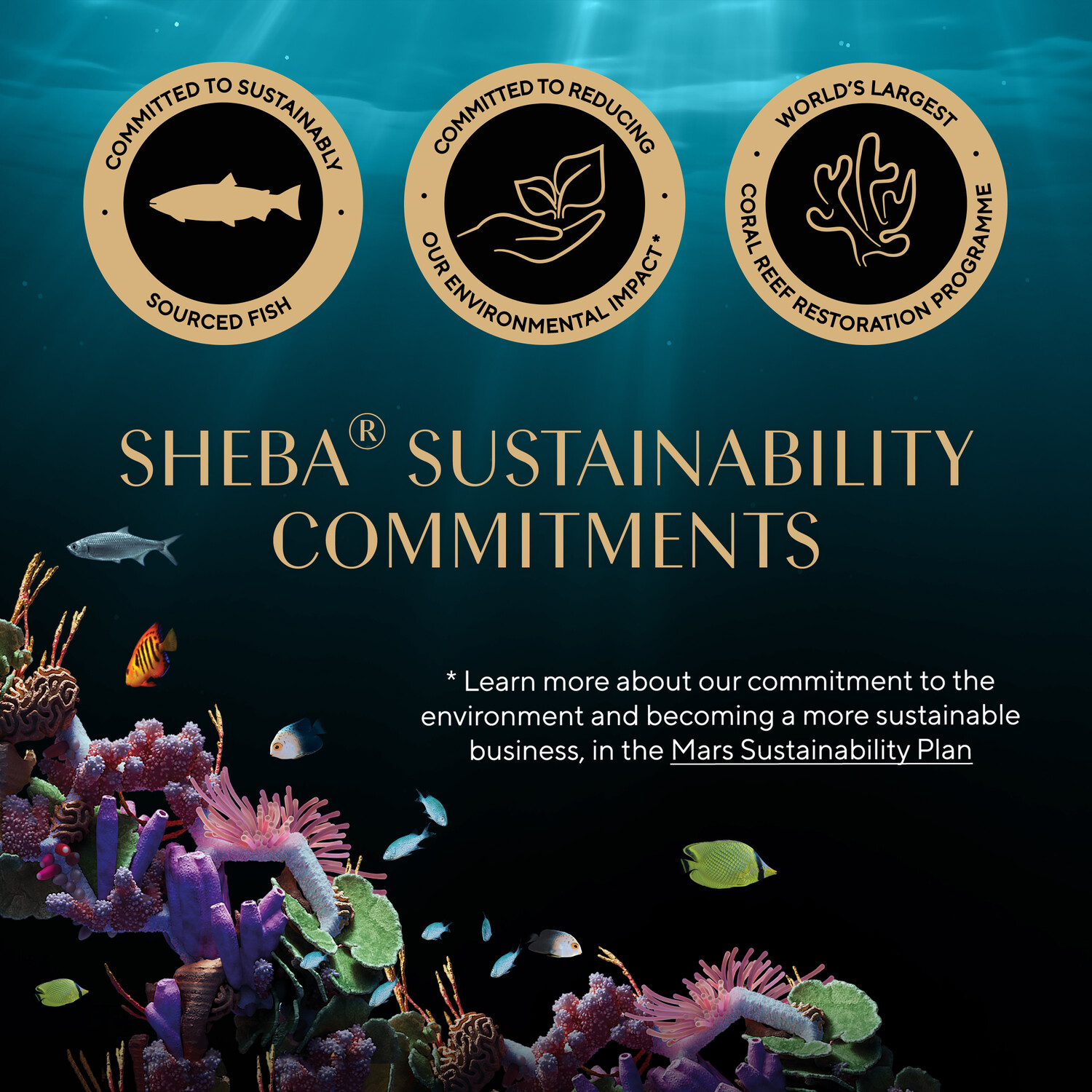 Sheba Fresh and Fine Wet Cat Food Brown / Tuna, Cod and Whitefish Image 4