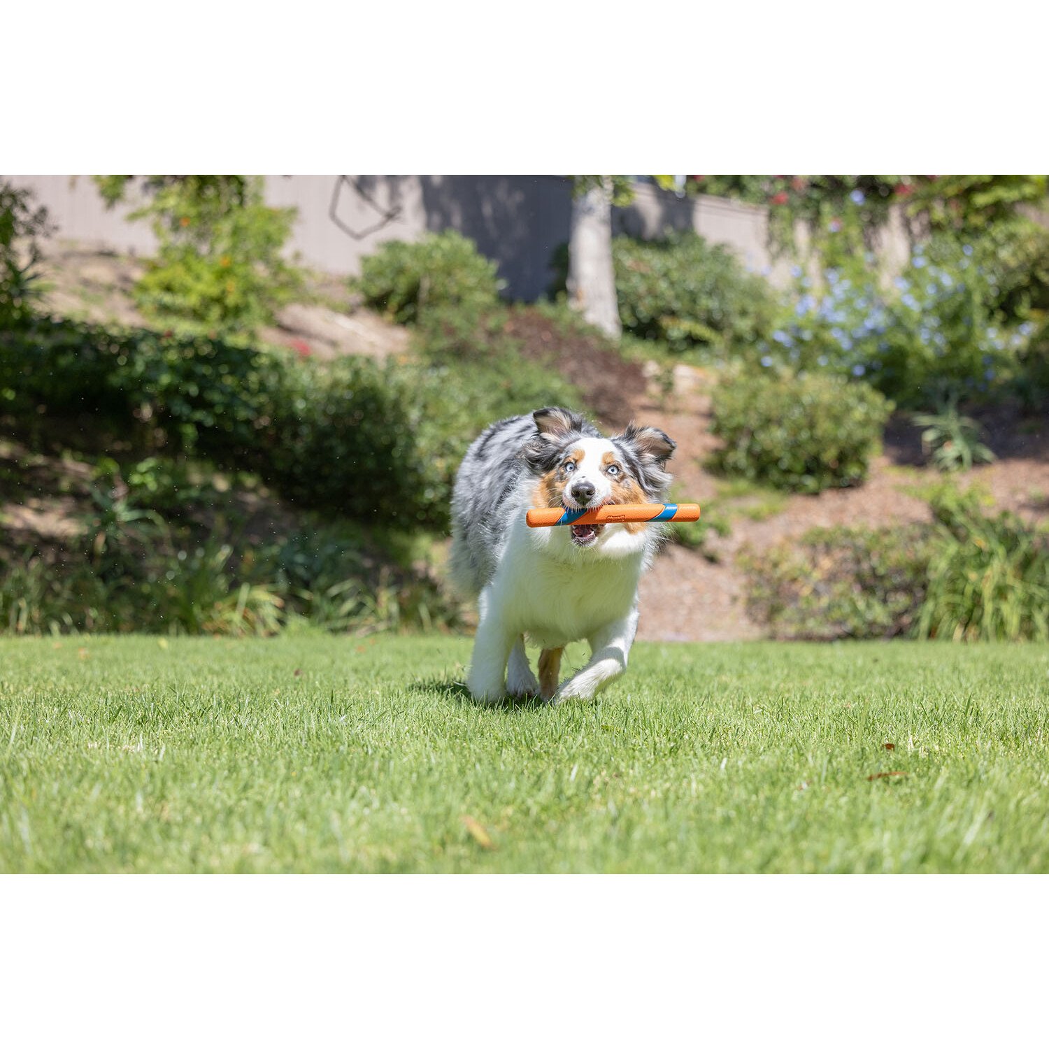 Ultra Fetch Stick Orange and Blue Image 6