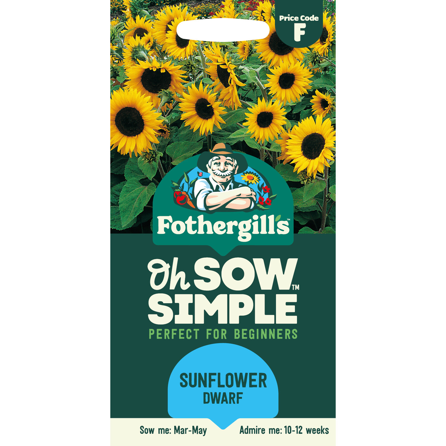 Sunflower Dwarf Flower Seeds Image 1