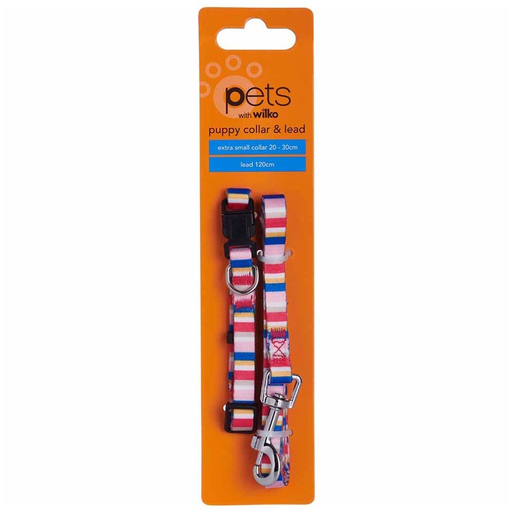 Single Wilko Puppy Small Dog Collar and Lead in Assorted styles Image 8