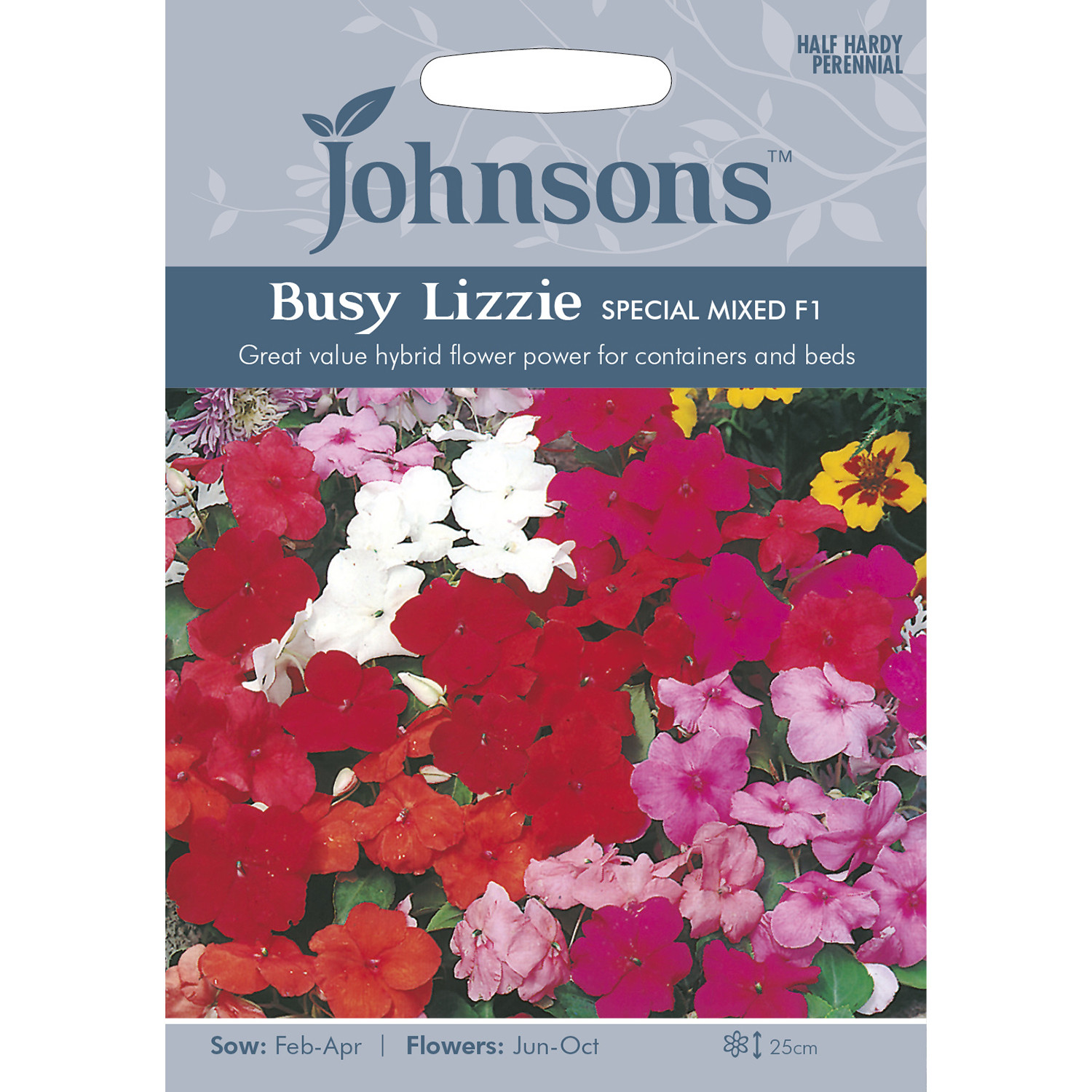 Johnsons Busy Lizzie Special Mixed F1 Flower Seeds Image 2