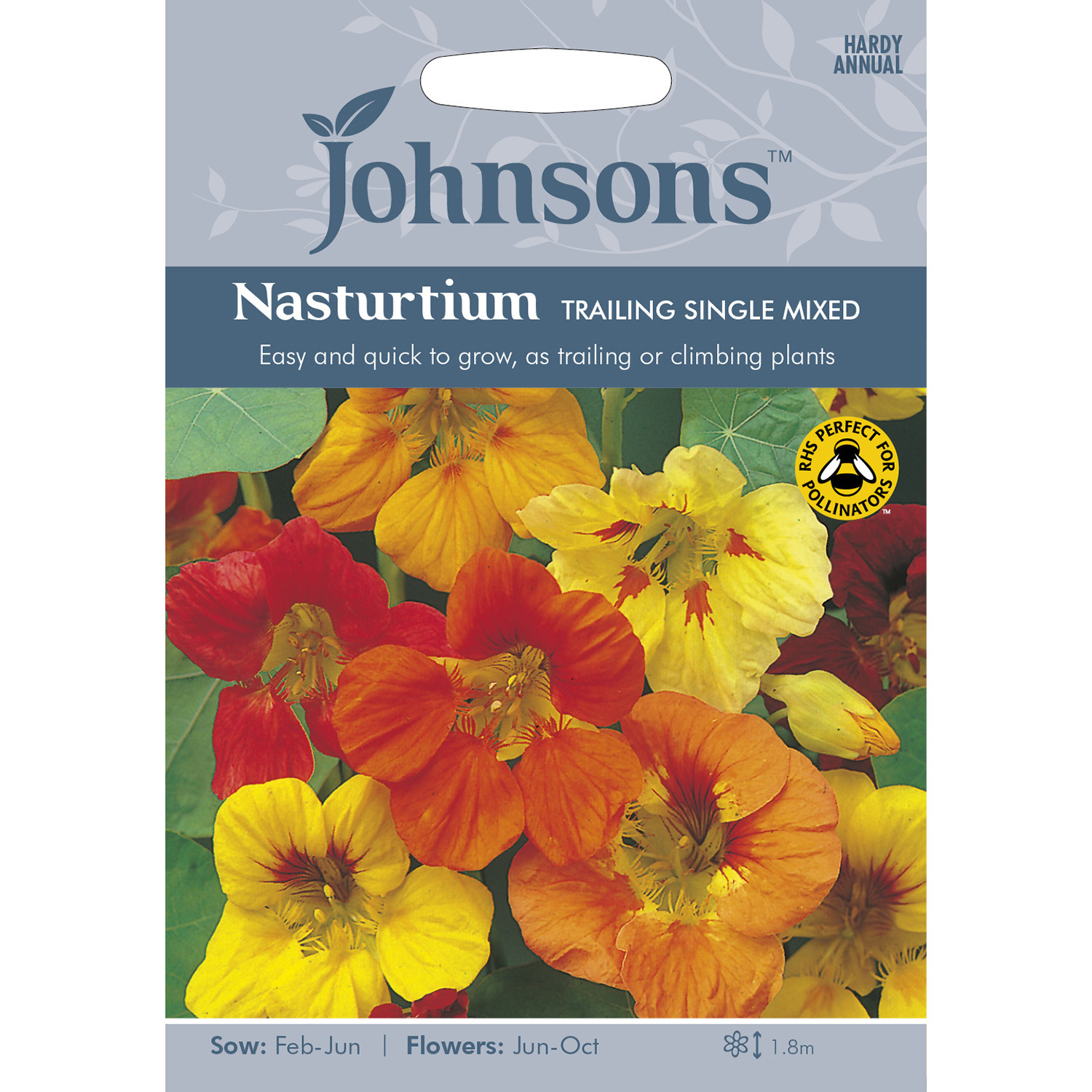 Johnsons Nasturtium Trailing Single Mixed Flower Seeds Image 2