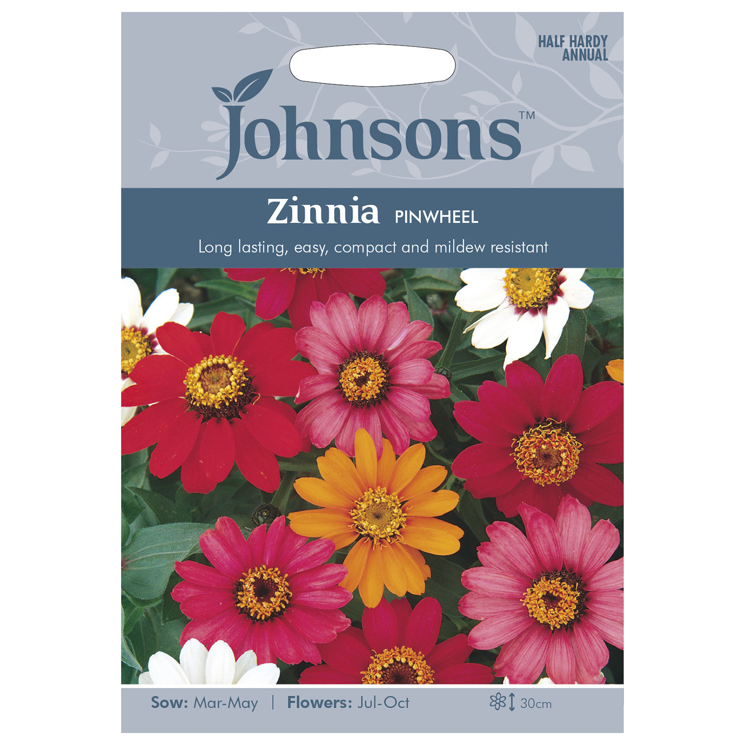 Pack of Pinwheel Zinnia Flower Seeds Image