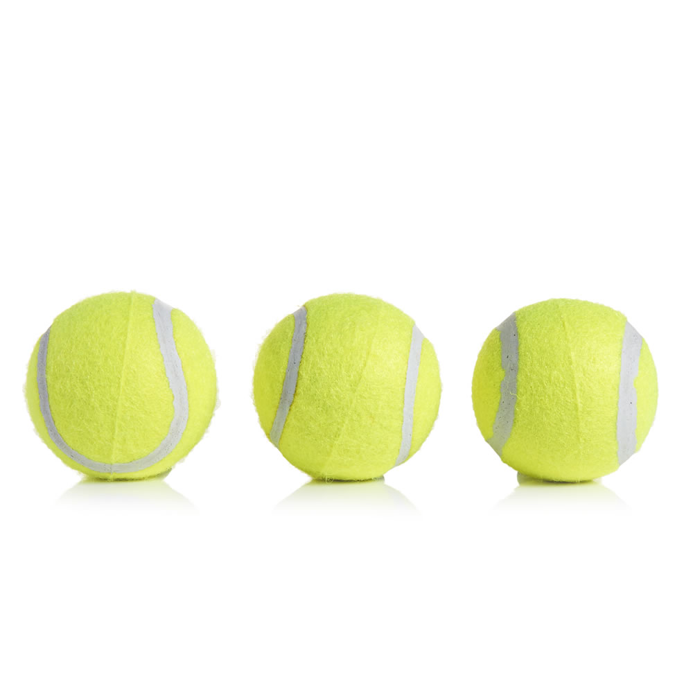 Wilko 3 pack Squeaky Tennis Balls Dog Toys Image