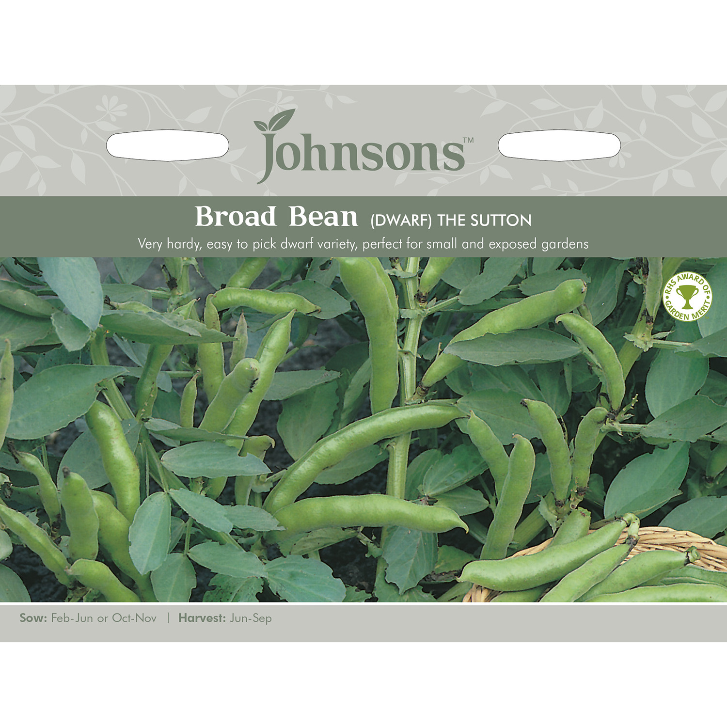 Johnsons The Sutton Dwarf Broad Bean Seeds Image 2