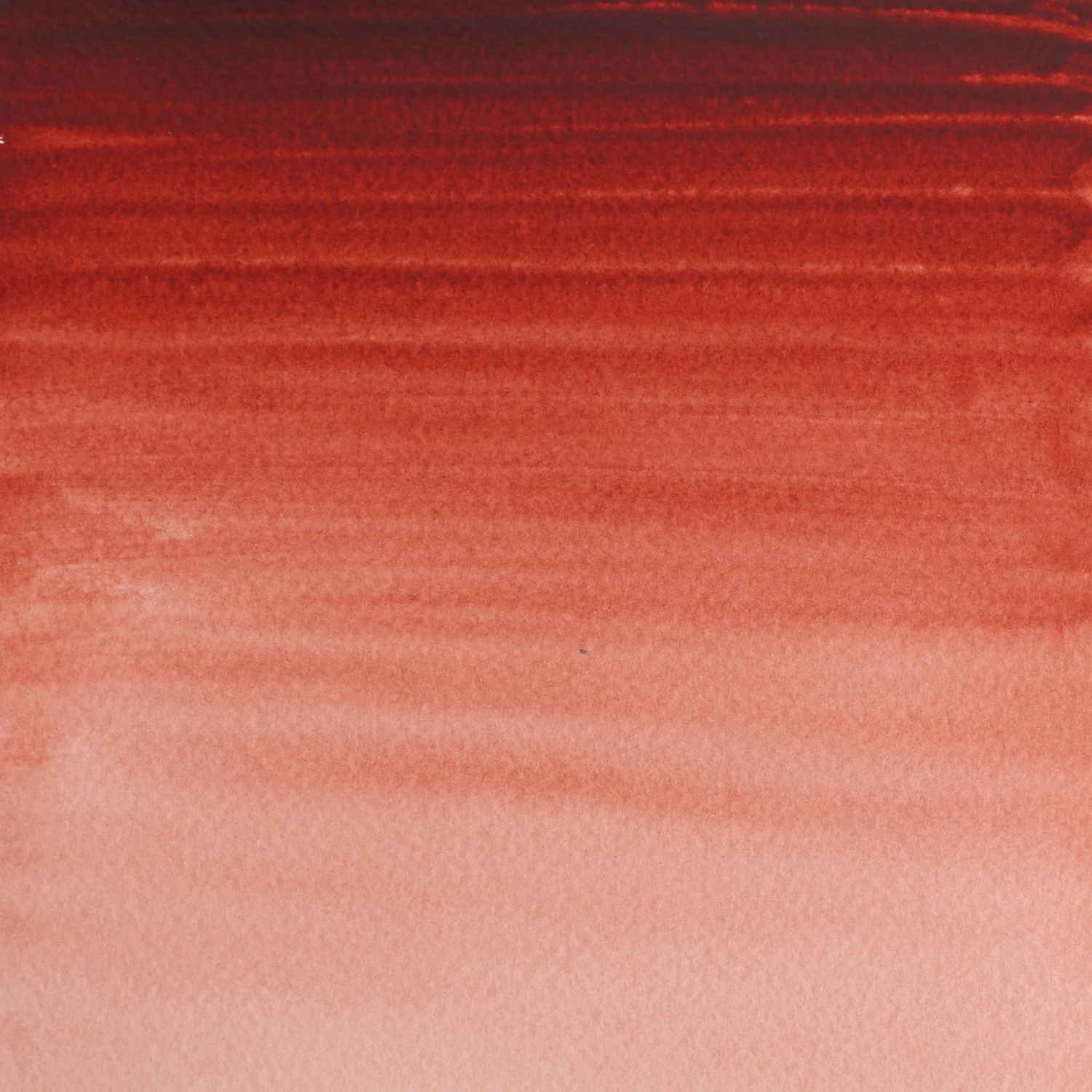 Winsor and Newton 5ml Professional Watercolour Paint - Brown Madder Image 2