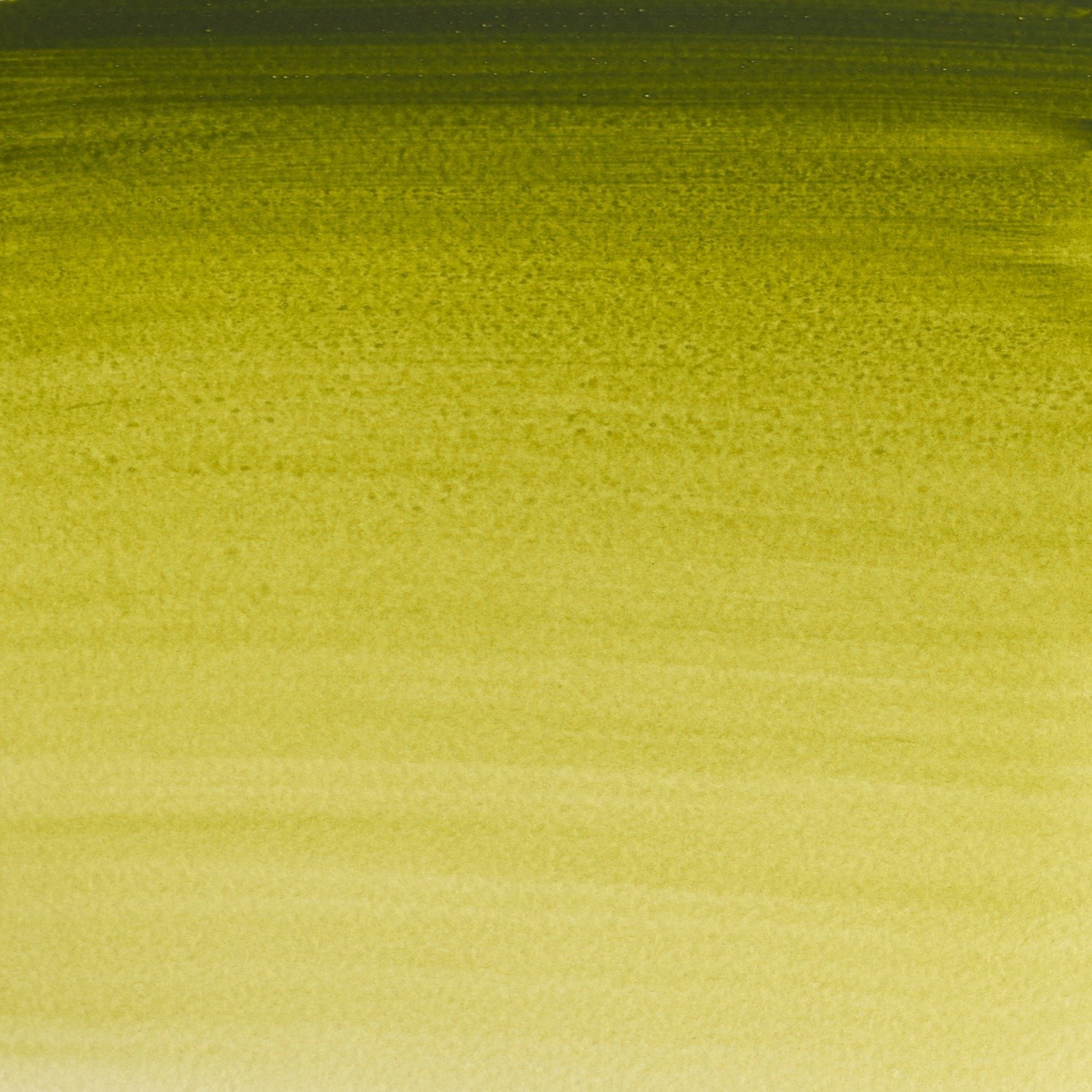 Winsor and Newton 5ml Professional Watercolour Paint - Olive Green Image 2
