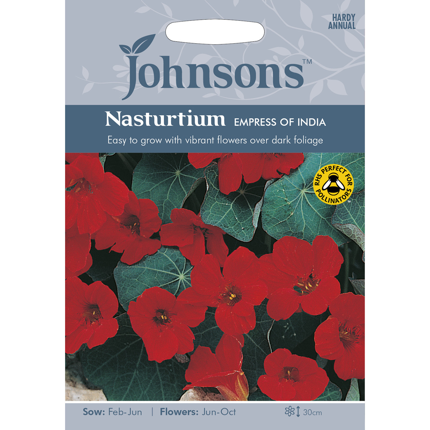 Johnsons Nasturtium Empress of India Flower Seeds Image 2